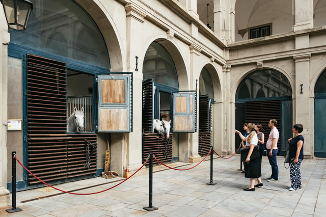 Vienna: Spanish Riding School Stables Guided Tour