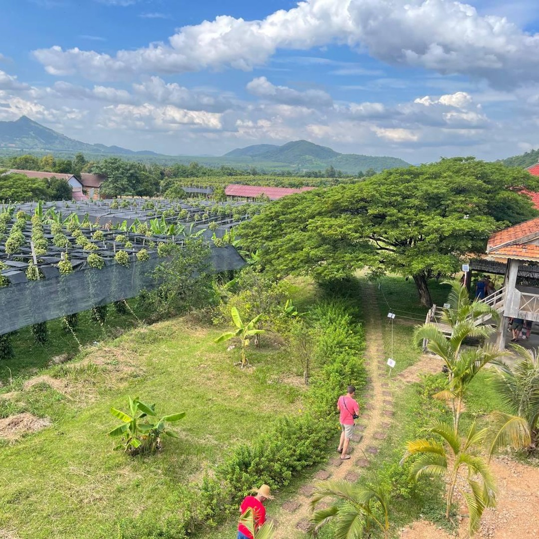 Colagem de mídia