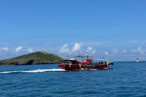 Chagwido Boat Fishing, Dolphin Watching with Local Lunch