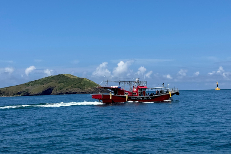 Chagwido Boat Fishing, Dolphin Watching with Local Lunch