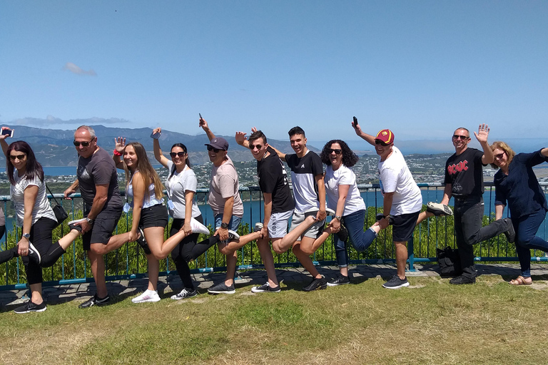 Wellington: City Highlights Guided Tour with Cable Car Ride