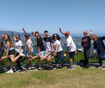 Wellington: Tour di mezza giornata della città e giro in funivia