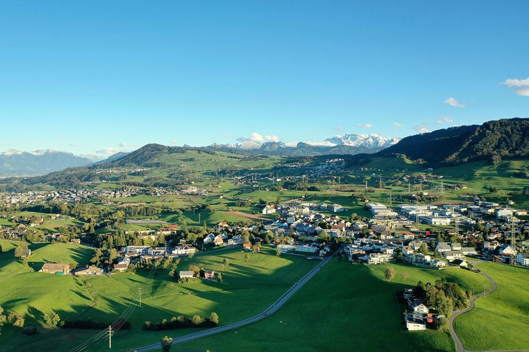 Zurich to Heidi Village and Liechtenstein Day Trip