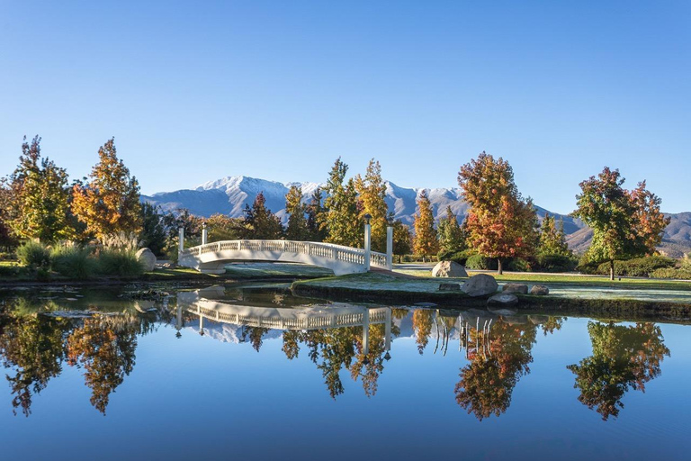 Casablanca: Private Wine Tour at Estancia El Cuadro, Valparaíso, Viña del Mar