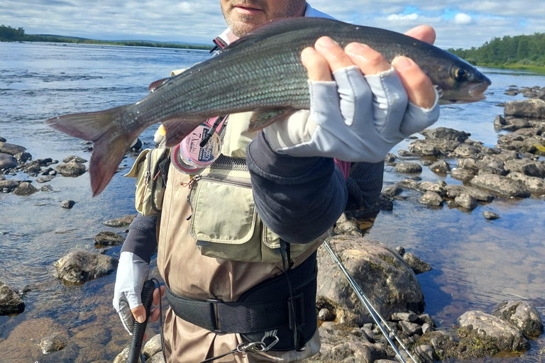 Lapponia: Gita guidata di pesca estiva