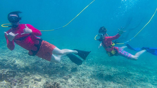 Kauai: SNUBA Diving Experience for Beginners & Families