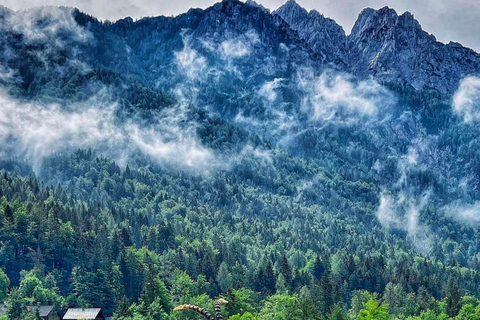 Ljubljana: Lake Bled, Bohinj, and Jasna Day Trip