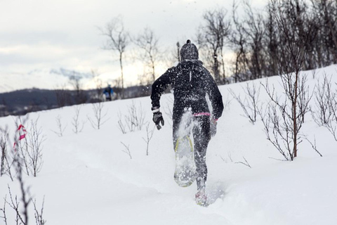 Dia inteiro de raquetes de neve particulares