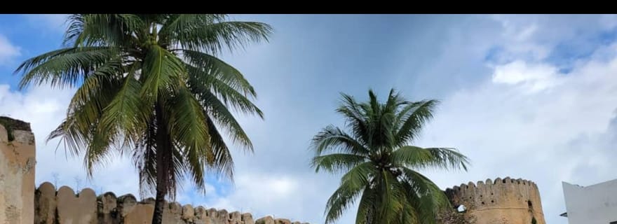 Zanzibar : Service de taxi privé de l'aéroport vers les hôtels de Pongwe