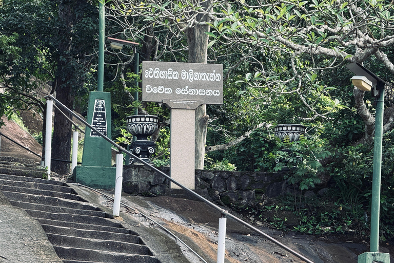 From Colombo: Cave Temples, Jungle Trek & Waterfall Swim