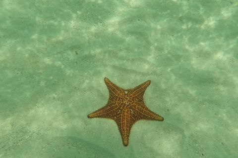 Panama City: San Blas Tropical Adventure – 3 Islands with Lunch at a Local Restaurant Tropical Adventure in Guna Yala: 3 Islands with Lunch at a Local Restaurant