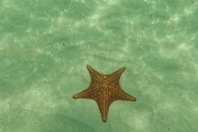 Panama City: San Blas Tropical Adventure – 3 Islands with Lunch at a Local Restaurant Tropical Adventure in Guna Yala: 3 Islands with Lunch at a Local Restaurant