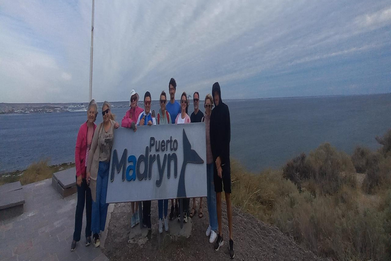 Puerto Madryn: Punta Loma Sea Lion Reserve Tour with Pickup