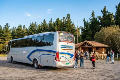 Cotopaxi: All-Inclusive Sightseeing Tour with Visit to Limpiopungo Lagoon Cotopaxi: All-Inclusive Sightseeing Tour with a Visit to Laguna de Limpiopungo