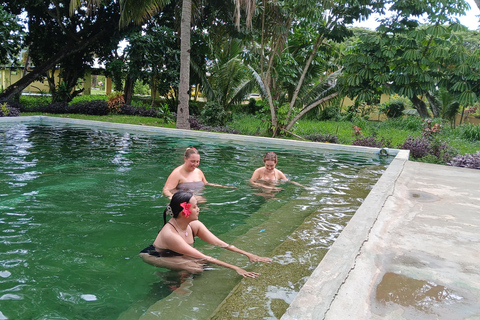 NADI: Garden Of Sleeping Giant & Tifajek Mudpool & Hotspring Shangri-La's Fijian Resort and Spa / Gecko Resort Pickup