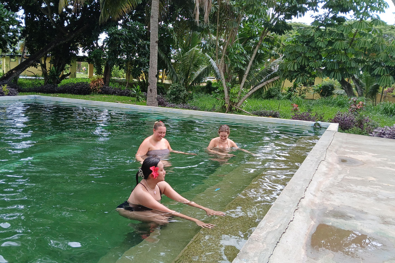 NADI: Garden Of Sleeping Giant & Tifajek Mudpool & Hotspring Shangri-La's Fijian Resort and Spa / Gecko Resort Pickup