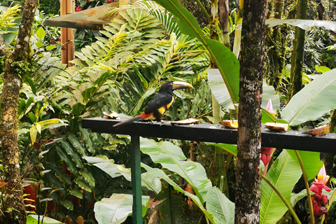 Z QUITO-Mindo Cloud Forest i Calacali Środek świata