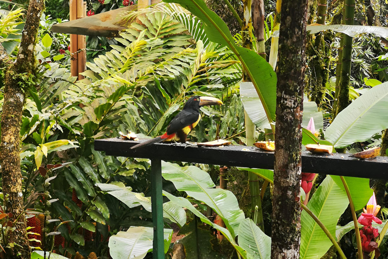 Z QUITO-Mindo Cloud Forest i Calacali Środek świata