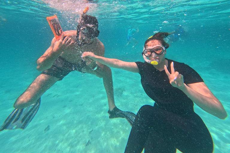 马斯喀特：在达亚马尼亚特群岛与海龟一起浮潜和皮划艇半日团体浮潜和皮划艇之旅，与海龟同行