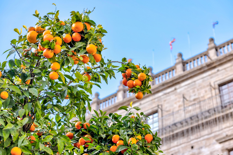 Guided Tour of Valencia's Historic Center 4-hour private tour