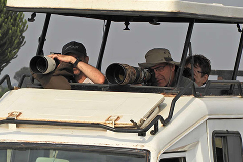 恩德培：9日乌干达大猩猩追踪与坦桑尼亚野生动物之旅恩德培：9天乌干达大猩猩追踪与坦桑尼亚野生动物园之旅