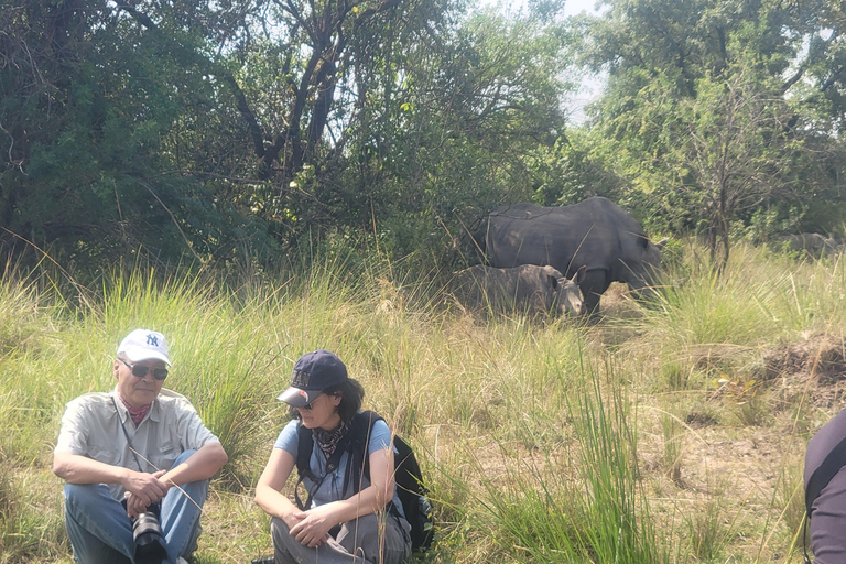 Kampala: Ziwa Rhino trektocht met ophaal- en terugbrengservice