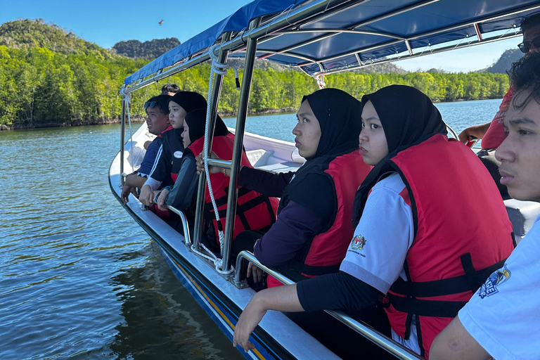 Langkawi: Sharing Mangrove Boat Tour 2 Hours