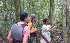 Ocosingo: Naha Ecotourism Center and Lacandona Jungle Tour