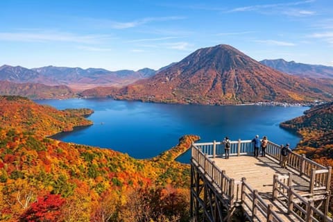 From Tokyo: Nikko Private Day Trip with English Guide - Image 2