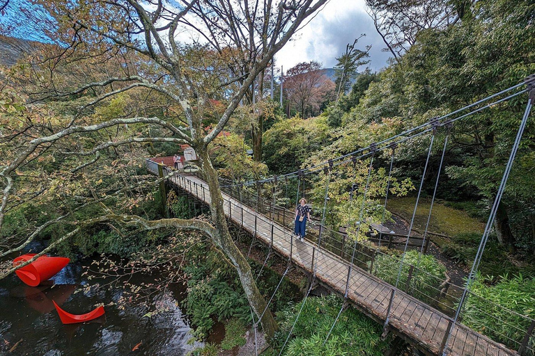 Geheimnisse von Tokio: Expertengeführte private Tour