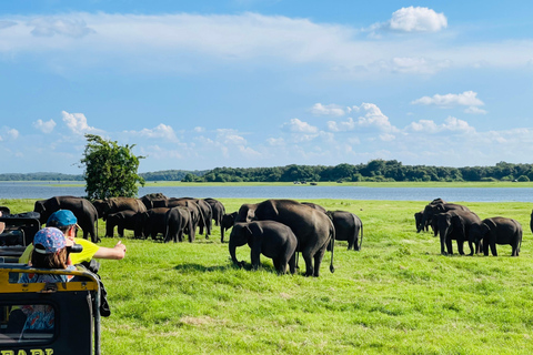Wild Elephant Safari Tour Minneriya, Kaudulla & Hurulu ECO Start from Dambulla