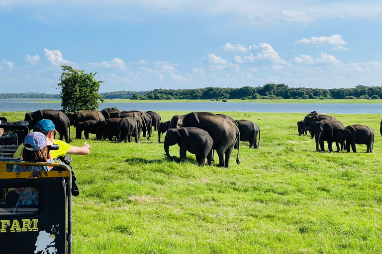 Wild Elephant Safari Tour Minneriya, Kaudulla & Hurulu ECO Start from Dambulla