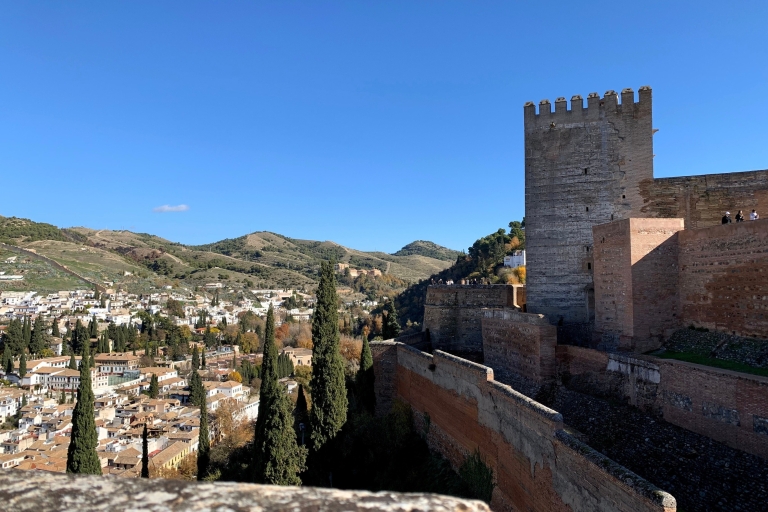 Grenade : Visite guidée de l'Alhambra et des palais Nasrides et billetsVisite de groupe en anglais
