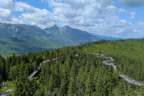 from Zakopane: Treetop Walk and Štrbské Pleso Trip