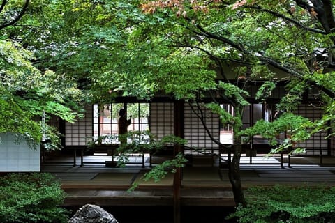 Kyoto: Guided Tea Culture Walking Tour - Image 2