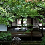Kyoto: Guided Tea Culture Walking Tour