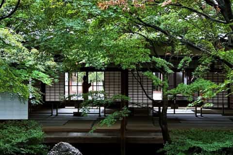 Kyoto: Guided Tea Culture Walking Tour - Image 3