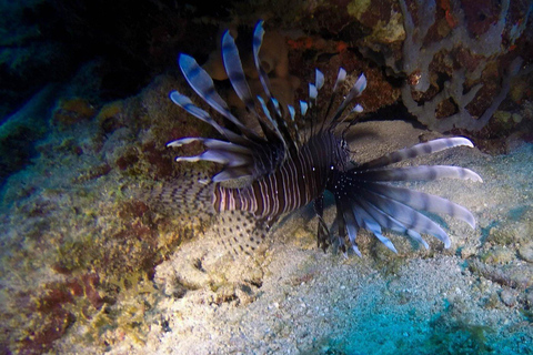 Private: Punta Cana Catalina Island Scuba Diving & Beach Day