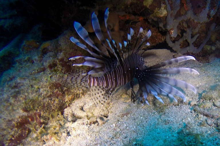 Private: Punta Cana Catalina Island Scuba Diving & Beach Day