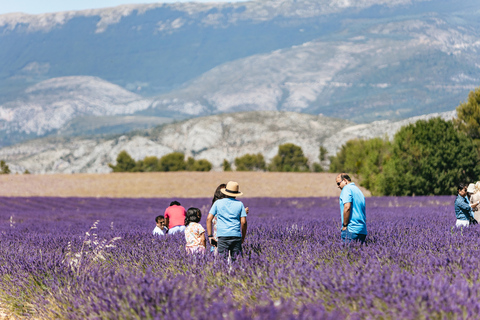 Niza: tour de las gargantas del Verdon y campos de lavanda