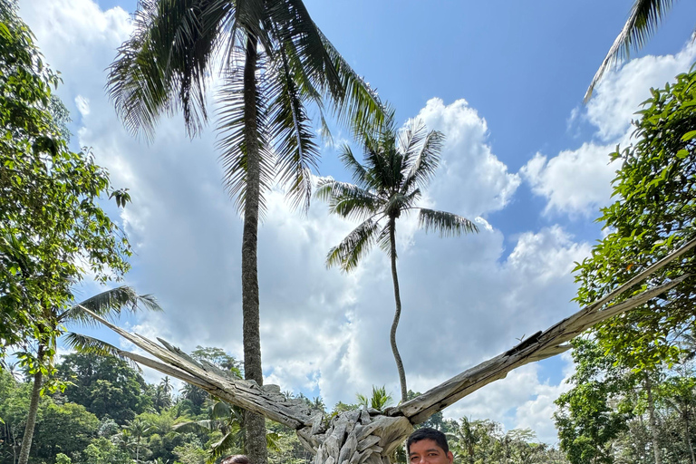 Ubud: Temple, Waterfall, Rice Terrace, Swing & Monkey Forest