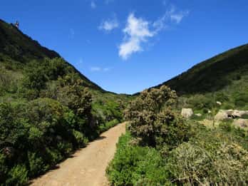 Pantelleria: begeleide trektocht langs vulkanen & natuurlijke spa