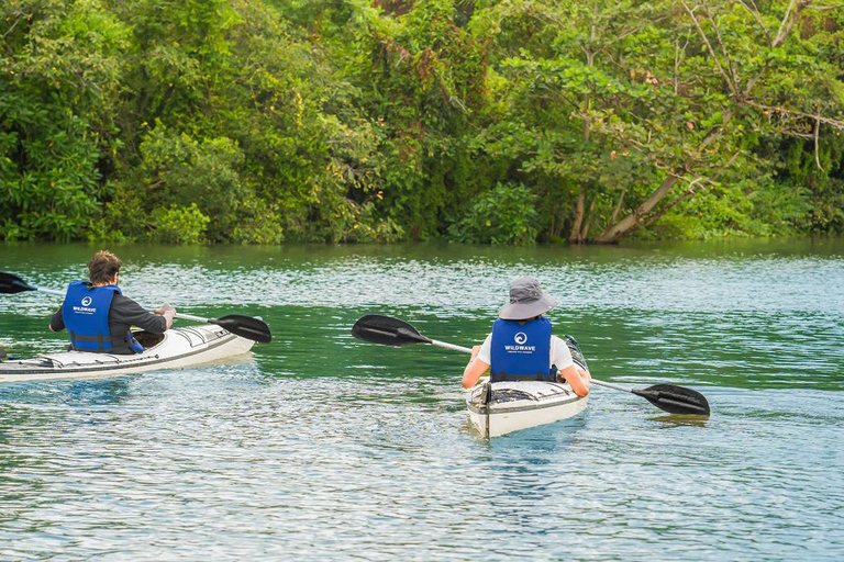 Colombo: Diyawanna Lake Kayaking Experience Single Kayak