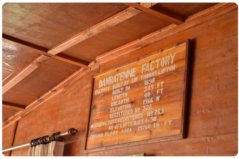 Lipton&#039;s Seat, Adisham Bungalow, excursão à fábrica de chá DambetennaDe Ella: Duas noites e três dias - Tour totalmente particular