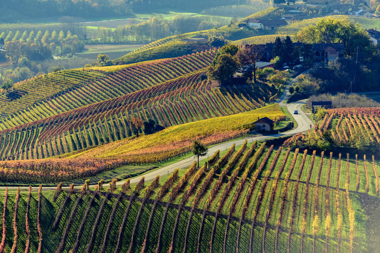 Au départ de Milan : Dégustation de vin Barolo, visite d&#039;Alba et visite du château