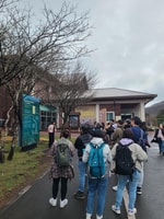 Jour de la fleur de cerisier de Jeju, route sud - Housity