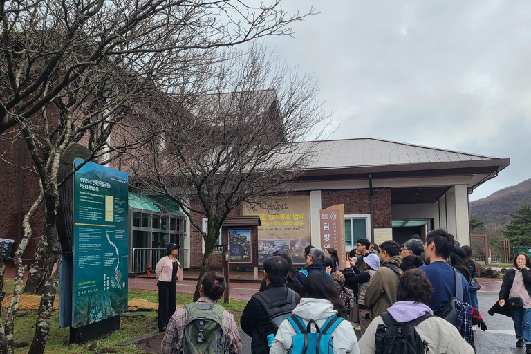 Jeju&#039;s Cherry Blossom South&amp;West jednodniowa wycieczka z odbiorem z hotelu