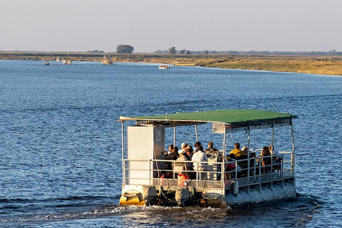 Chobe Safari: Boat Cruise, Game Drive & Chef Lunch