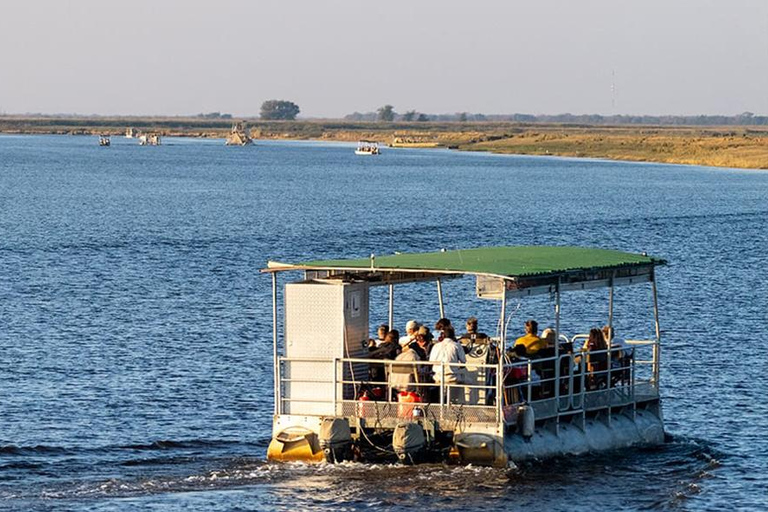 Chobe Safari: Boat Cruise, Game Drive & Chef Lunch