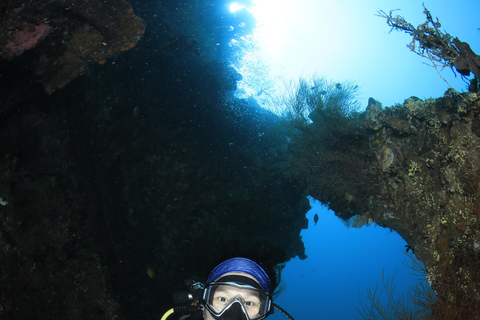 Bali/Nusa Penida: 3 Fun Dives to Manta Point, Mola & Reef Fun Dive with Hotel Transfer (3 Dives)